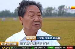 【农业】-江苏泗洪打造农业新模式