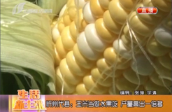 【农业】-山西经济资讯--代县水果玉米